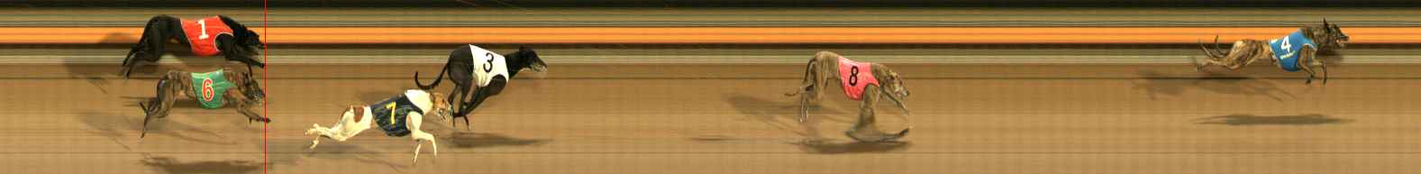 Race result finish photo